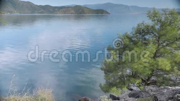 海景有松树青山岛屿和云在水中倒影4k视频的预览图
