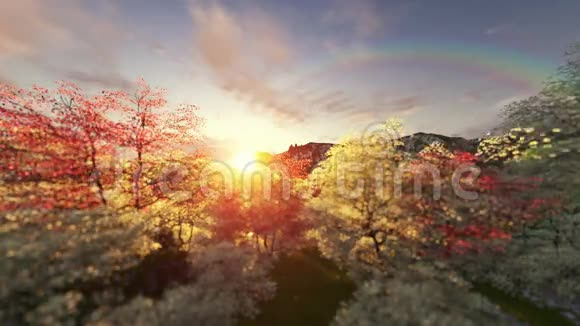 日出时的春景气球飞视频的预览图