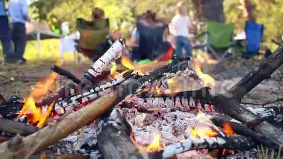 露营时的篝火人们在野餐时玩得很开心营地内的篝火视频的预览图