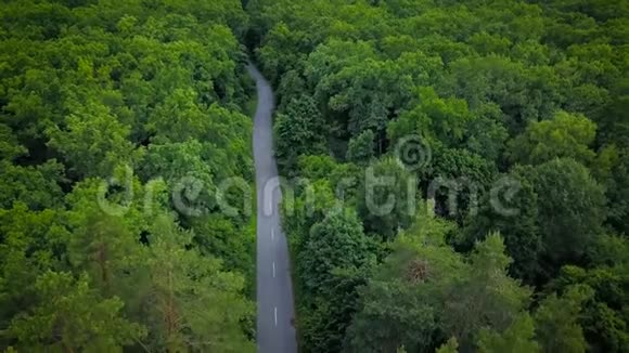 穿过森林的道路从高处俯瞰空中勘测视频的预览图