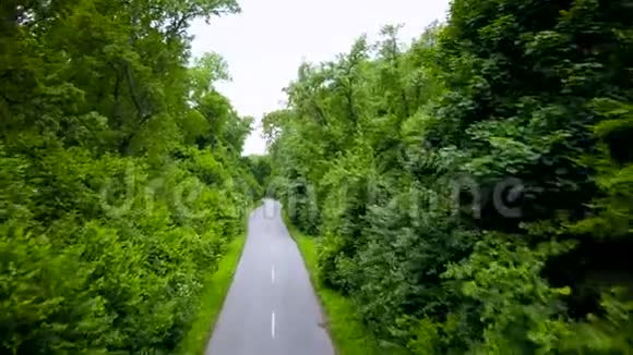 穿过森林的道路从高处俯瞰空中勘测视频的预览图