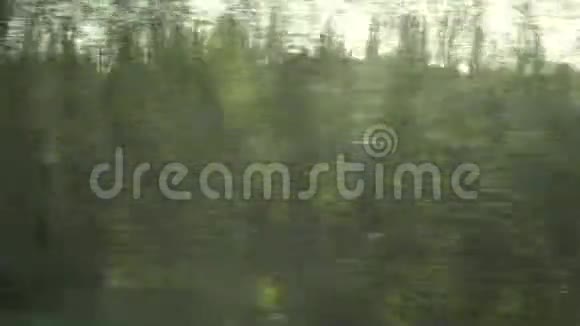 绿野和树木的路景视频的预览图