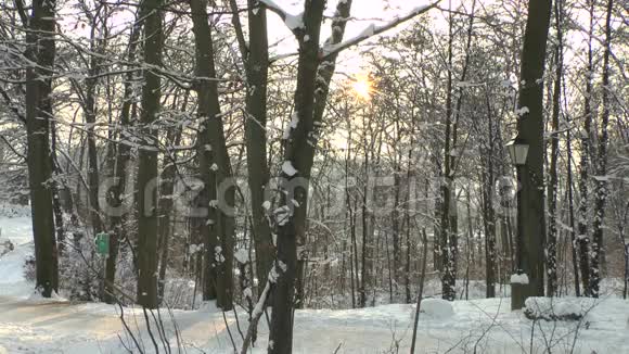 奥地利萨尔茨堡萨尔茨堡市萨尔茨堡市中心莫恩克斯堡冬季景观视频的预览图