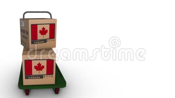 加拿大绿色运输与盒子旋转SX视频的预览图