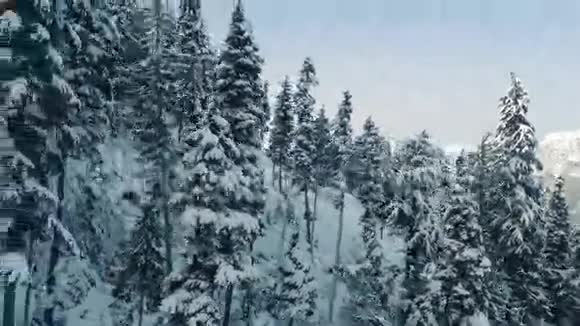 用树木提升雪山的一面视频的预览图
