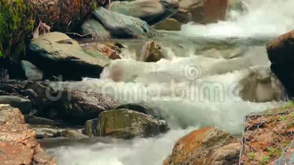热带山河小瀑布的近景视频的预览图