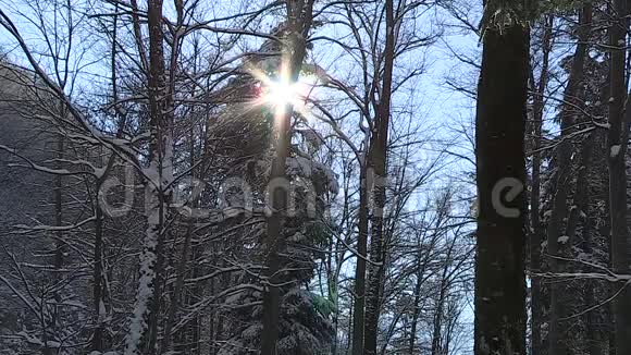 奥地利萨尔茨堡萨尔茨堡市萨尔茨堡市中心莫恩克斯堡冬季景观视频的预览图