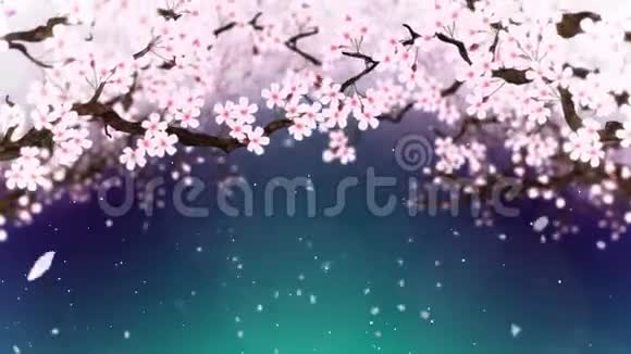 樱花盛开樱桃树枝樱花粉红色樱花绿底色CG循环动画视频的预览图
