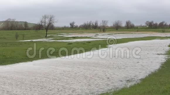 春季大雨后农业湿地俄罗斯视频的预览图