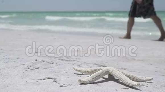 度假村海滩上的海星13分之一视频的预览图