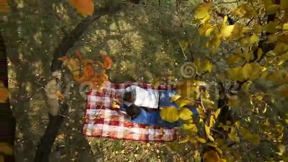 躺在秋树下的夫妇视频的预览图