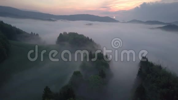 早晨日出时飞越薄雾森林视频的预览图