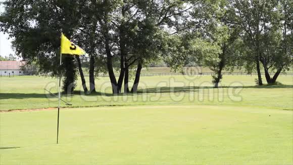 高尔夫黄旗视频的预览图