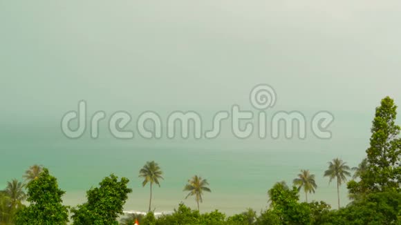 天堂岛异国风情海滩雨前热带植物摇曳视频的预览图
