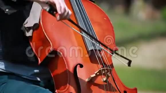 音乐家在大提琴上演奏视频的预览图