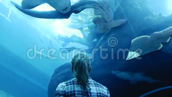 女人正在观看水族馆居民的生活视频的预览图