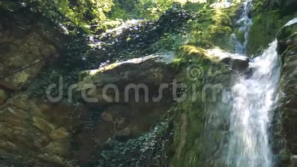 森林里的瀑布岩石之间的纯净水视频的预览图