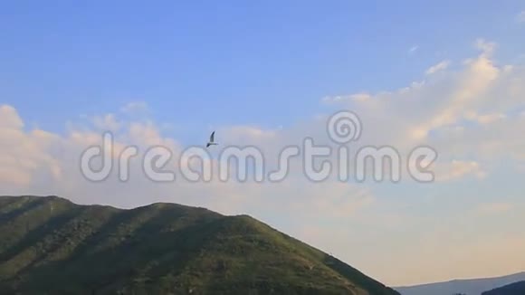 海鸥在天空中飞翔黑山亚得里亚视频的预览图