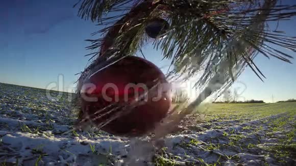 松树枝4K室外风中带圣诞泡叶视频的预览图