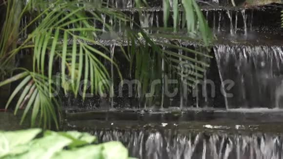 泰国曼谷寺庙的瀑布视频的预览图