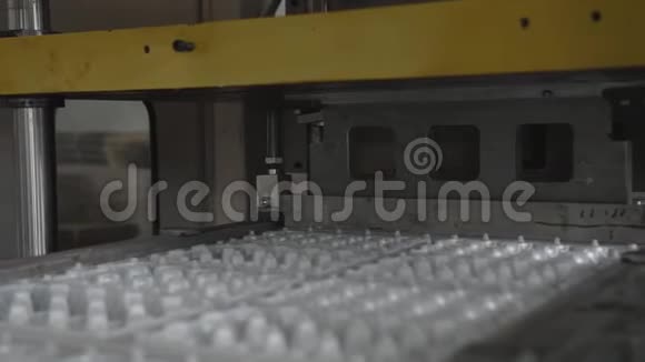 一次性食品包装制品制造厂鸡蛋容器生产线视频的预览图