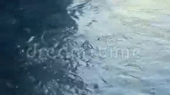水面泛起涟漪水背景水波中的阳光蓝水视频的预览图
