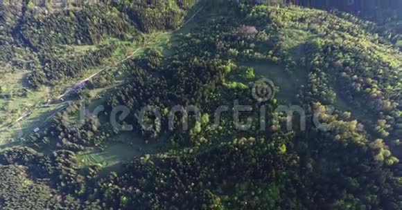 空中观景在群山之间的森林山谷上方视频的预览图
