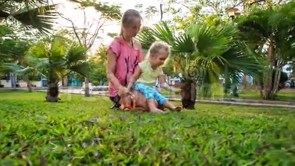 金发母亲女儿蹲在公园的棕榈丛中视频的预览图