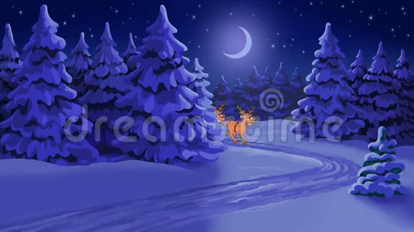 卡通人物圣诞老人的新年动画卡片视频的预览图