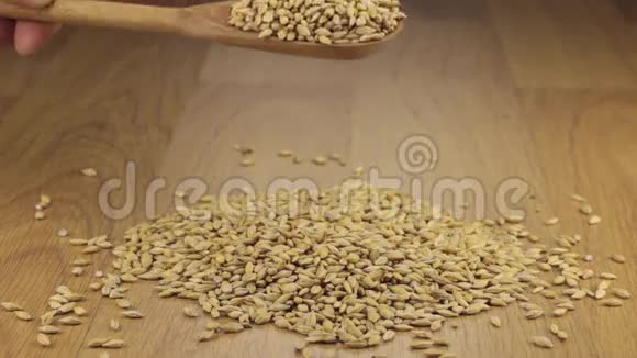大麦谷物从一堆大麦上的木勺中获得足够的睡眠视频的预览图