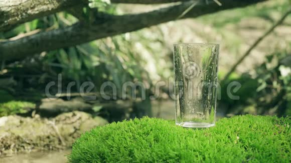水涌入玻璃矗立在苔藓的岩石上弹簧流在软关注背景纯净的生态水视频的预览图