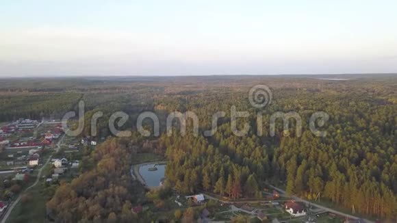 鸟瞰森林中的池塘秋天的时光自然和景观森林和池塘的鸟瞰图秋天视频的预览图