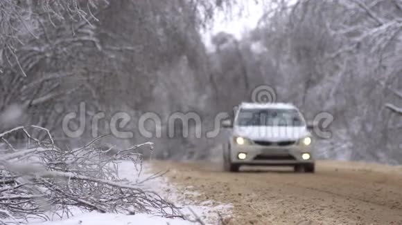 树枝在冰雪的重压下弯曲在路上视频的预览图