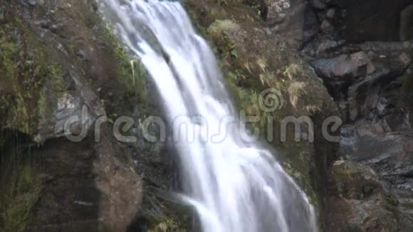 夏威夷毛伊岛Hana公路上的瀑布视频的预览图