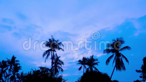 热带日出与棕榈树时间推移视频的预览图