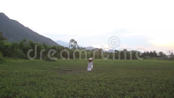 越南的金发女孩在群山之间的山谷中摆姿势视频的预览图