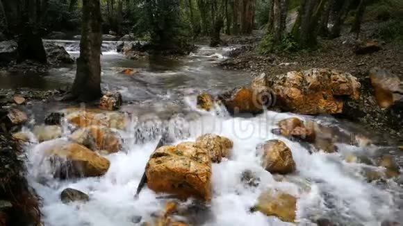 山上透明的水的小瀑布视频的预览图