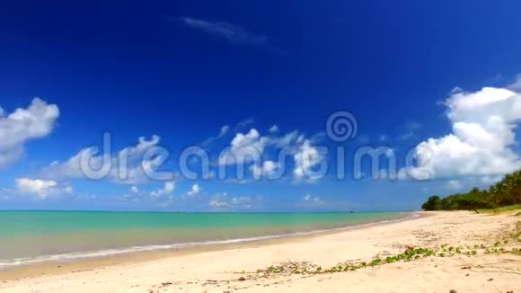晴天在巴西海滩海岸鸟瞰绿海巴西巴伊亚市库穆鲁哈提巴市2017年2月视频的预览图