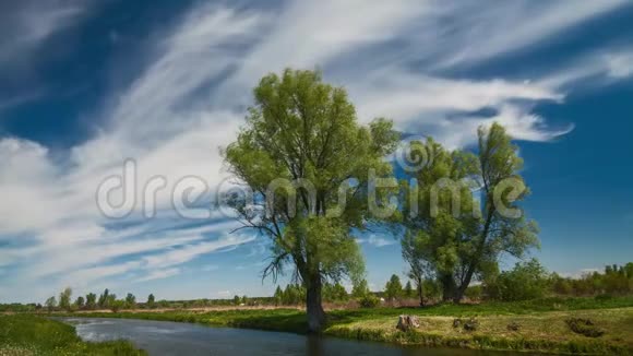 春天的河流在阳光明媚的日子里蓝天白云视频的预览图