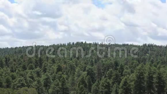 大峡谷森林上空的云层夹子3视频的预览图