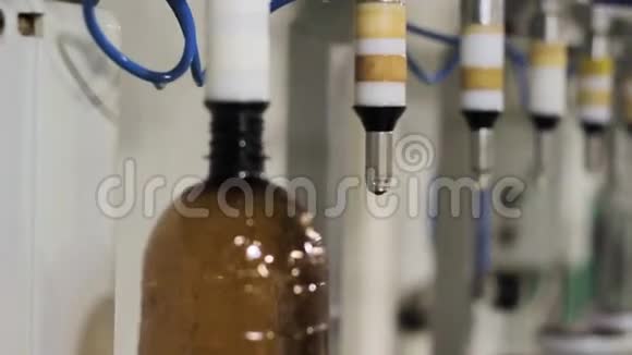 工人在工厂倒瓶装啤酒视频的预览图