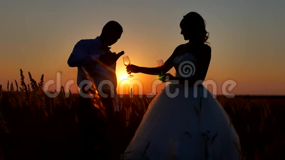 一对夫妇欣赏香槟酒的剪影浪漫的情侣自然剪影阳光夕阳视频的预览图