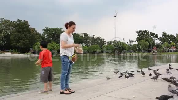 亚洲女人和她的儿子在公园户外自然夏天鸟后射视频的预览图