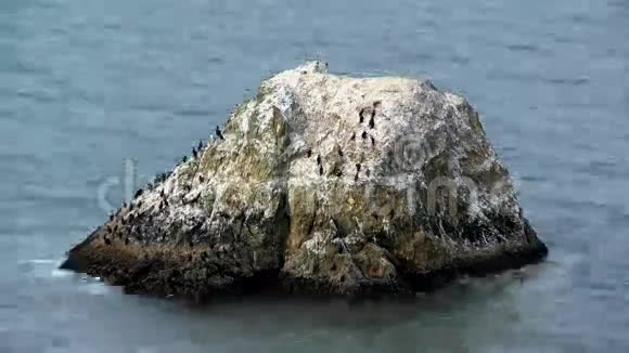 大南加州太平洋的岩石夹1视频的预览图