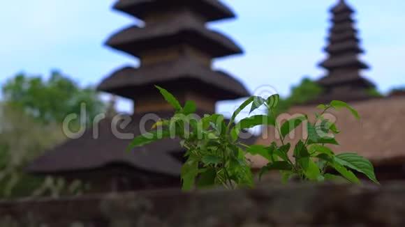 巴厘岛塔曼阿云寺手持照片视频的预览图