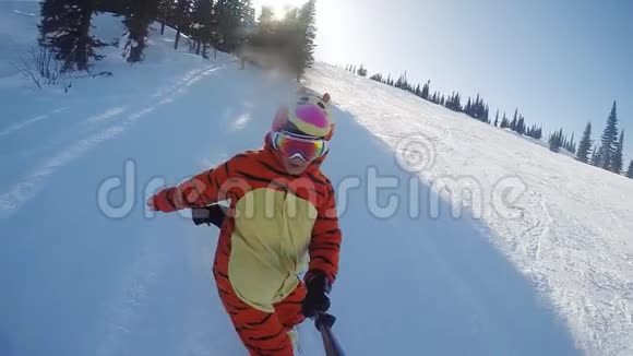 极限滑雪者穿着滑稽的老虎服骑着粉末在阳光明媚的山上缓慢地转动视频的预览图