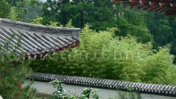 中国古寺建筑在森林竹山丘陵雕梁画栋视频的预览图
