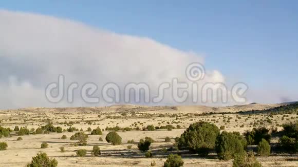 亚利桑那州野火森林火灾视频的预览图