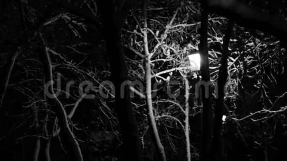 夜晚的冬季路灯雪融化黑白镜头3视频的预览图