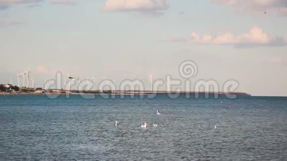 海景天空中的海鸥在风力涡轮机的背景视图中视频的预览图